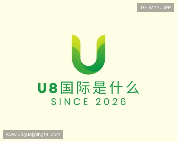 解读u8国际是什么